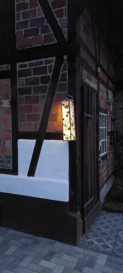 Ferienhaus Blaue Blume Mit 11 Kw Ladestation, Kamin, Terrasse, Eingezaeuntem Garten, Sauna, Wlan, Netflix, 2 Hunde Willkommen! Güntersberge Esterno foto