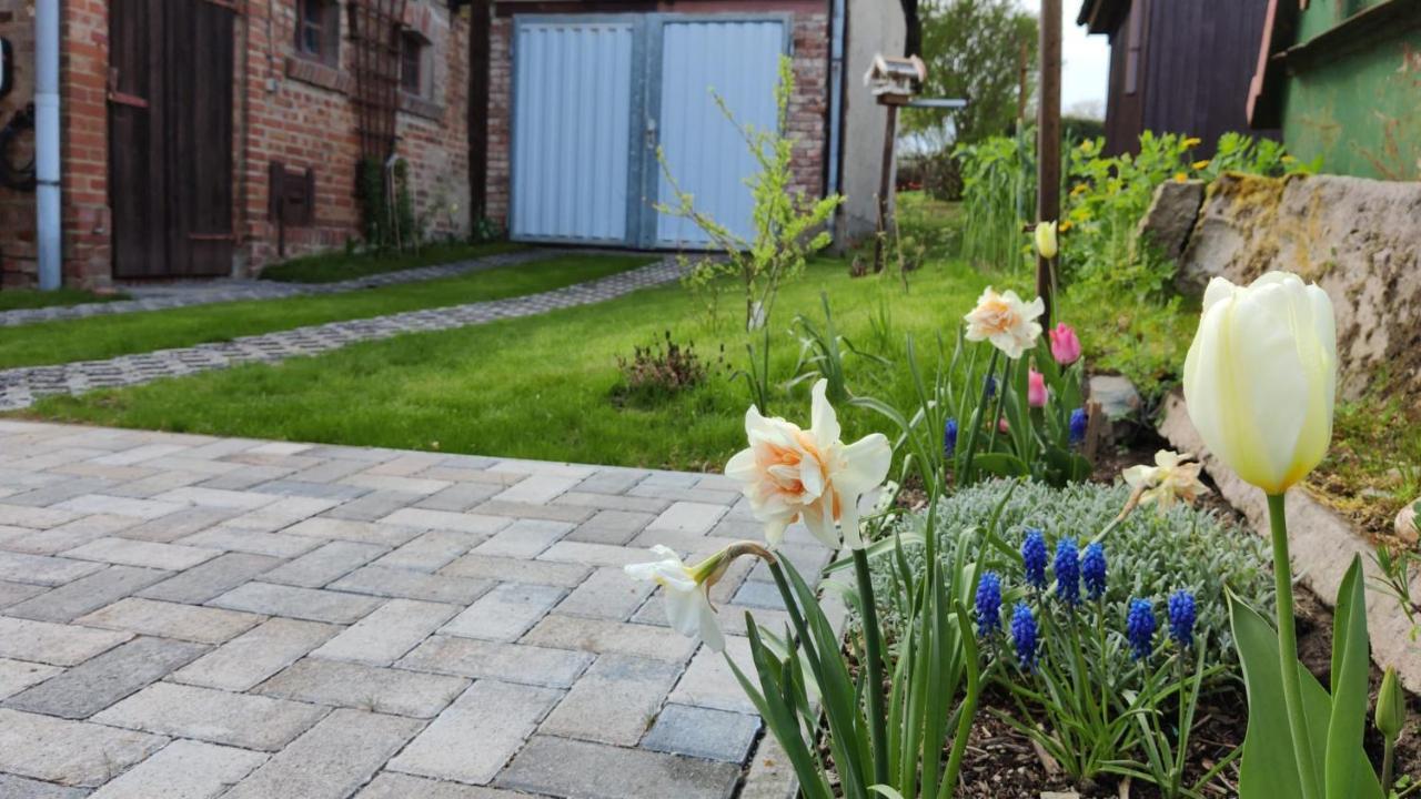 Ferienhaus Blaue Blume Mit 11 Kw Ladestation, Kamin, Terrasse, Eingezaeuntem Garten, Sauna, Wlan, Netflix, 2 Hunde Willkommen! Güntersberge Esterno foto