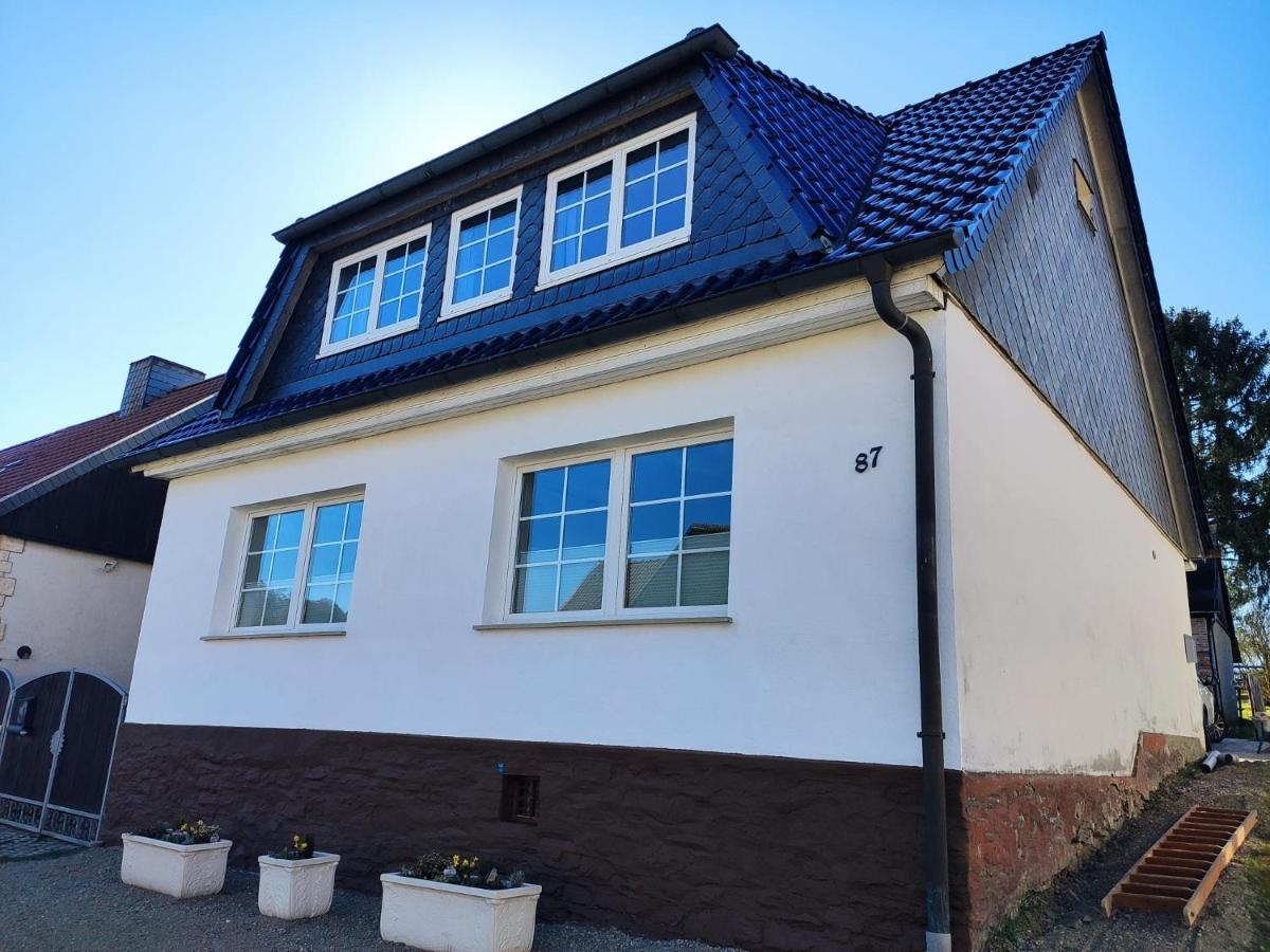 Ferienhaus Blaue Blume Mit 11 Kw Ladestation, Kamin, Terrasse, Eingezaeuntem Garten, Sauna, Wlan, Netflix, 2 Hunde Willkommen! Güntersberge Esterno foto