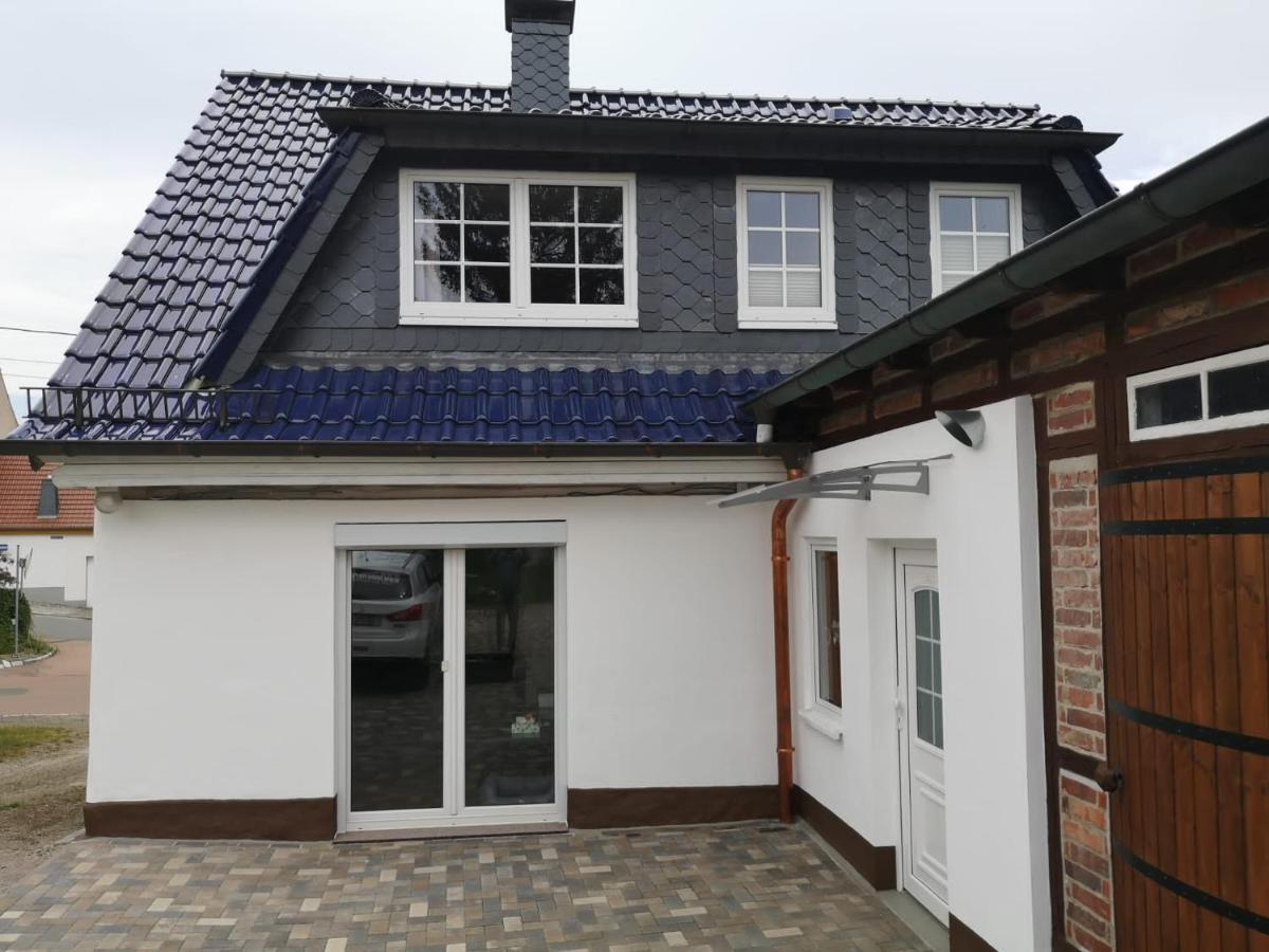 Ferienhaus Blaue Blume Mit 11 Kw Ladestation, Kamin, Terrasse, Eingezaeuntem Garten, Sauna, Wlan, Netflix, 2 Hunde Willkommen! Güntersberge Esterno foto