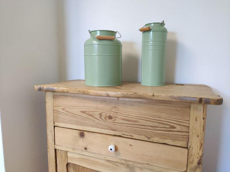 Ferienhaus Blaue Blume Mit 11 Kw Ladestation, Kamin, Terrasse, Eingezaeuntem Garten, Sauna, Wlan, Netflix, 2 Hunde Willkommen! Güntersberge Esterno foto