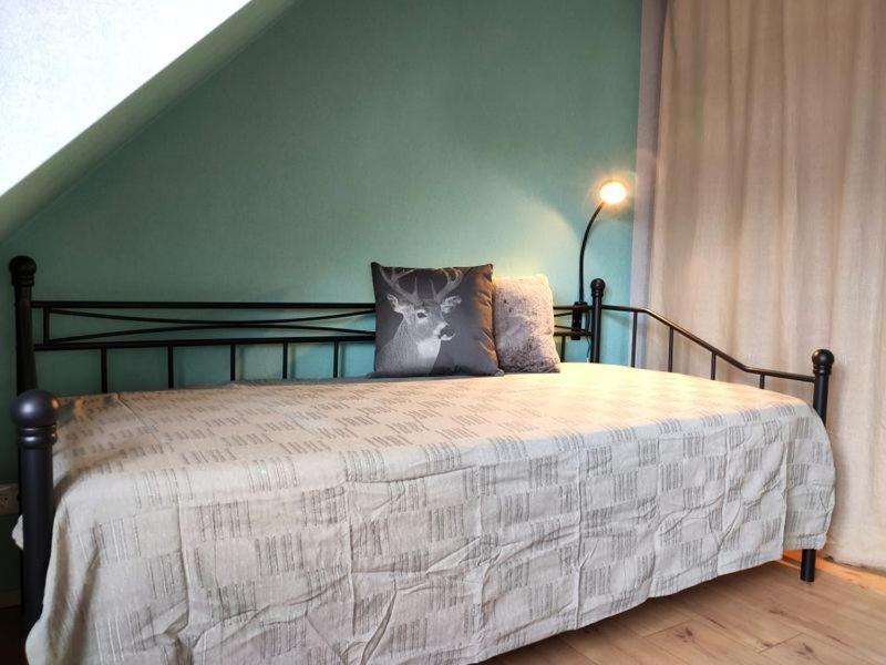 Ferienhaus Blaue Blume Mit 11 Kw Ladestation, Kamin, Terrasse, Eingezaeuntem Garten, Sauna, Wlan, Netflix, 2 Hunde Willkommen! Güntersberge Esterno foto