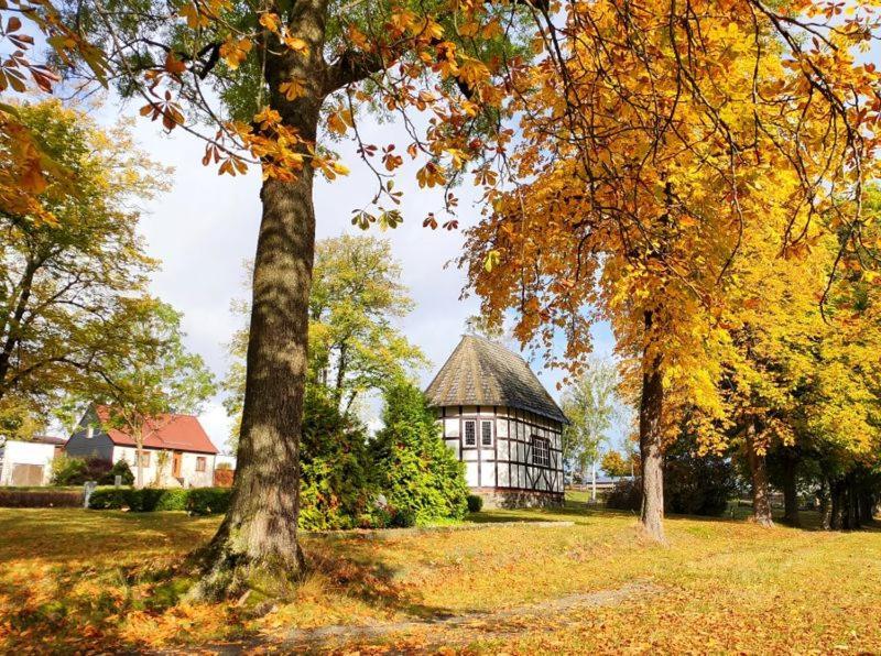 Ferienhaus Blaue Blume Mit 11 Kw Ladestation, Kamin, Terrasse, Eingezaeuntem Garten, Sauna, Wlan, Netflix, 2 Hunde Willkommen! Güntersberge Esterno foto