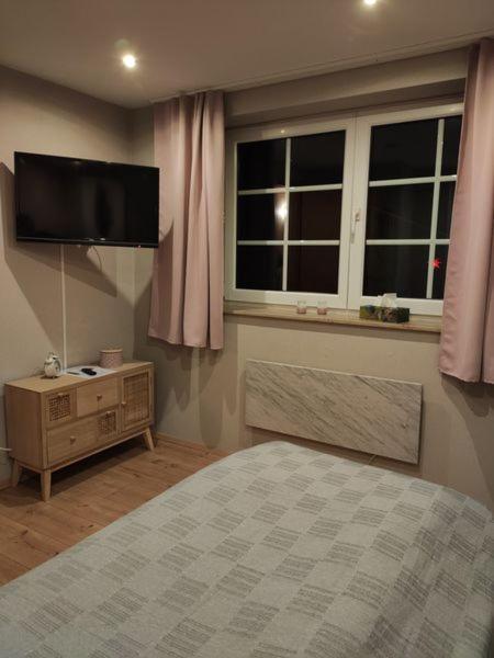 Ferienhaus Blaue Blume Mit 11 Kw Ladestation, Kamin, Terrasse, Eingezaeuntem Garten, Sauna, Wlan, Netflix, 2 Hunde Willkommen! Güntersberge Esterno foto